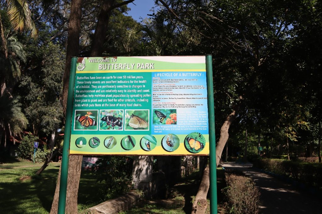 Ranganathittu Bird Sanctuary - Butterfly Park