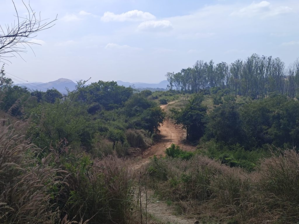 Suvarnamukhi - Trekking