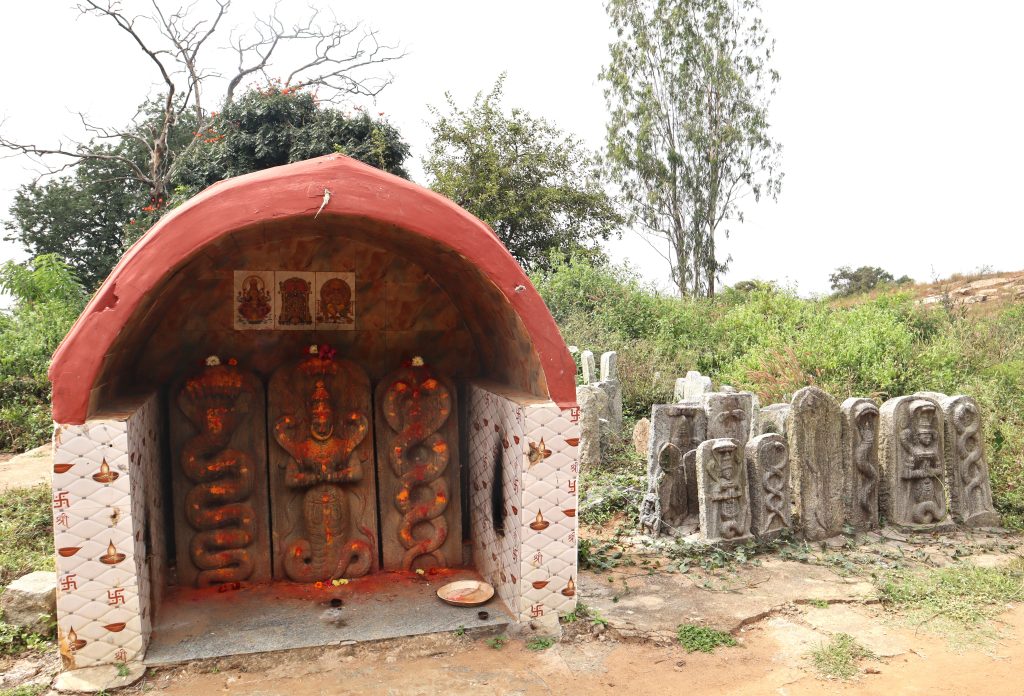 Suvarnamukhi Kalyani - Naga Devata