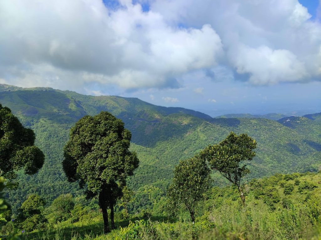 Offbeat Hill Station - Vagamon