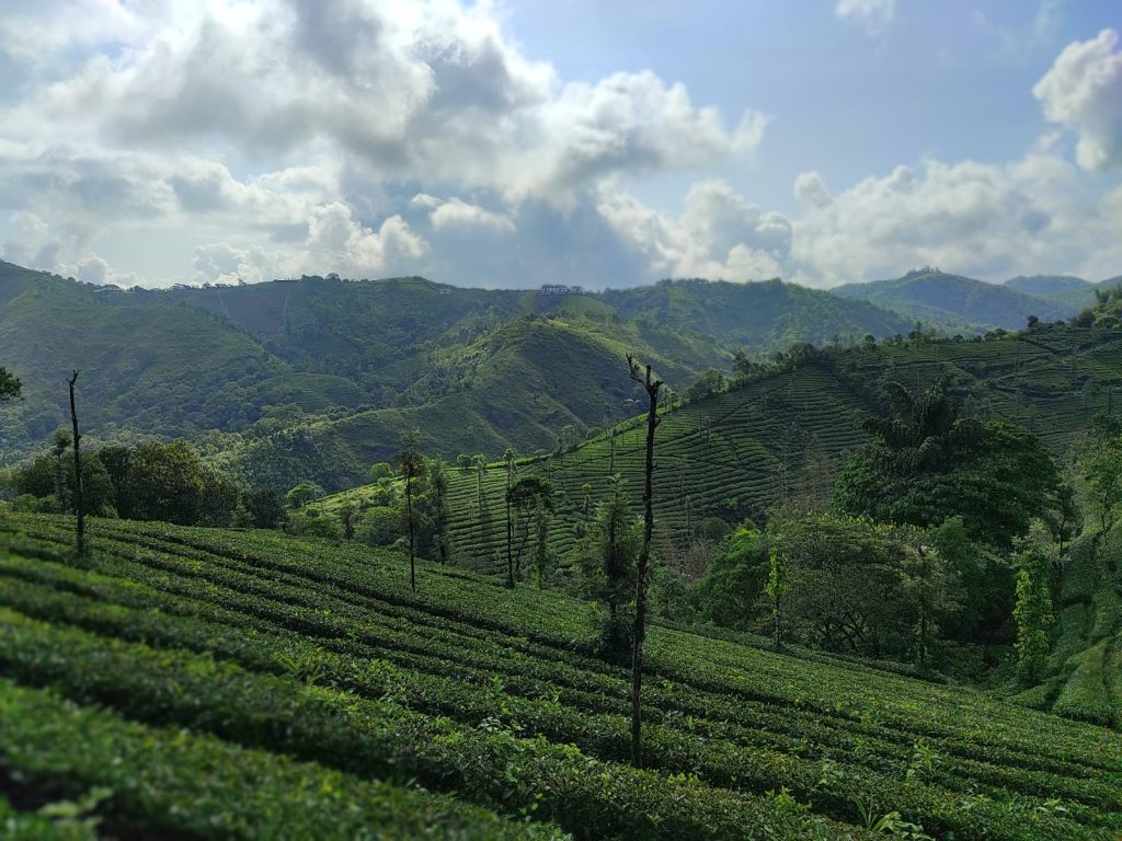 Offbeat Hill Station - Vagamon